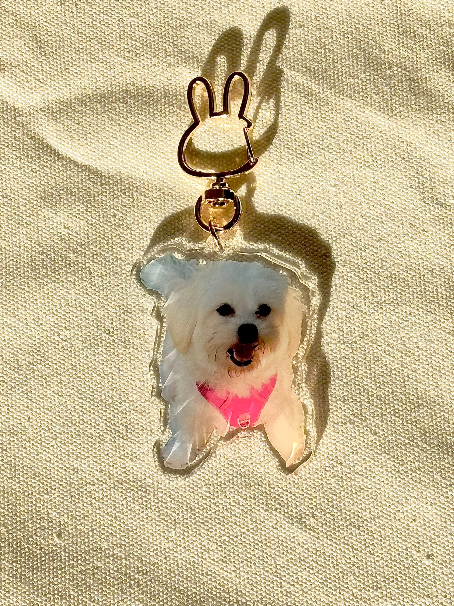 Costumized pet keychain